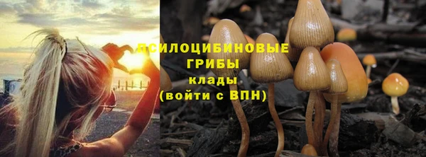 Альфа ПВП Володарск