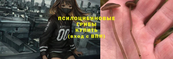 Альфа ПВП Володарск