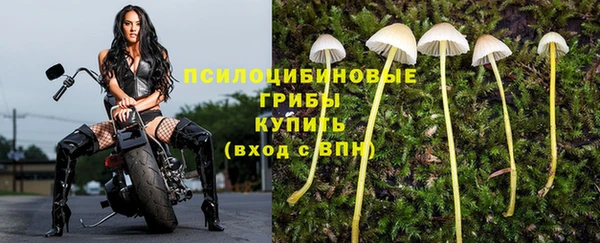 трава Волоколамск