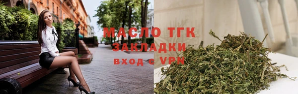 гашик Верея