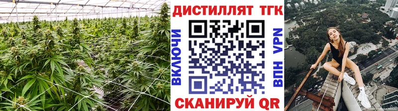 Дистиллят ТГК вейп  ОМГ ОМГ ссылка  Каргат 